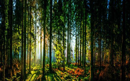 We’ll get back to nature