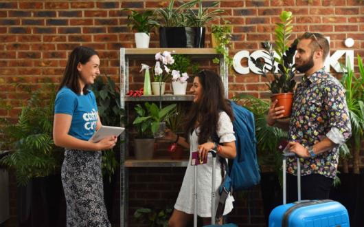 Contiki Plant Sitting Web.jpg