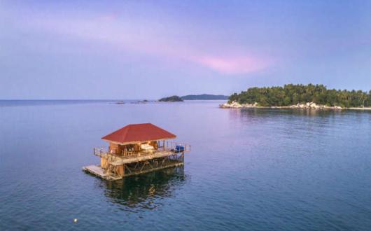 South East Asia Banyan Tree.jpg