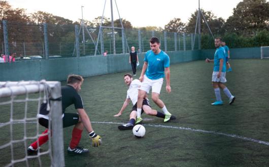 Dolphin Dynamics Five Side Web.jpg