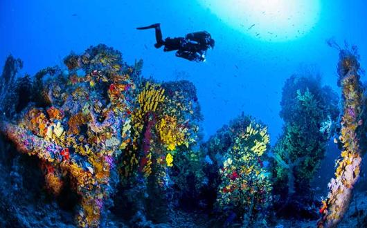 Diving in the sparkling waters of Malta