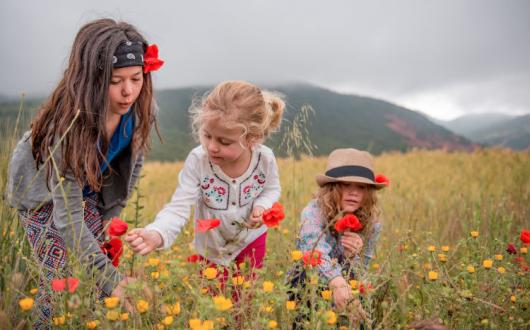 Intrepid Travel wants its staff to get behind Climate Strike