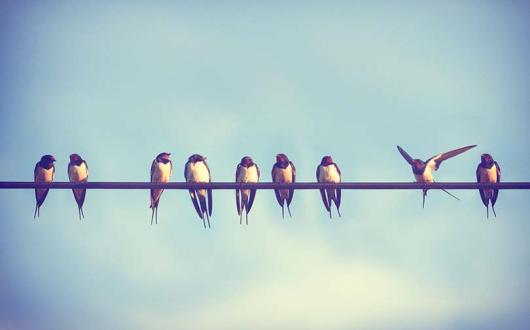 Sophie Griffiths: Understanding what is and isn’t protected in travel is not exactly easy