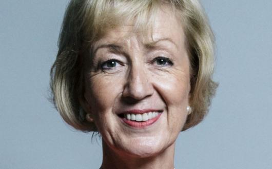 Business secretary Andrea Leadsom (Image credit: Chris McAndrew / CC BY 3.0)