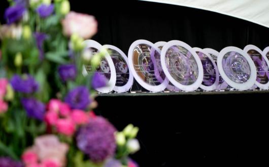 New for 2019 is the Disruptor Award