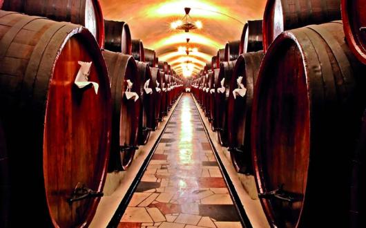 Wine-barrels-maturing-in-a-cellar.jpg