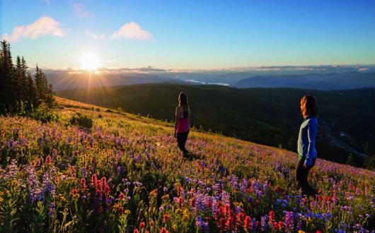 Abta says the new government must provide the travel sector certainty