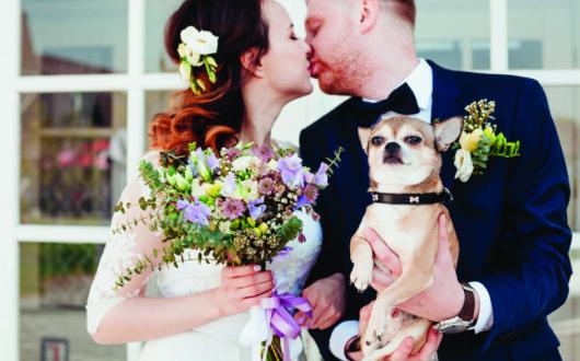 Dog-friendly weddings are on the rise