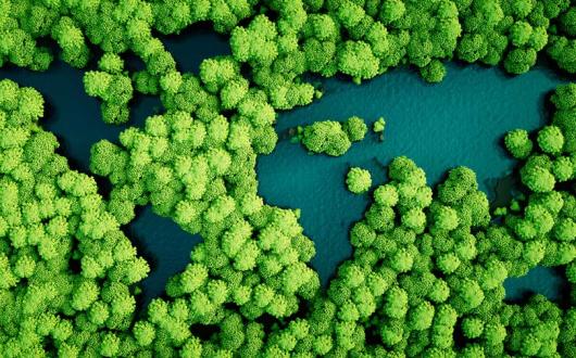 Carbon offsetting branded 'get out of jail card' for aviation sector