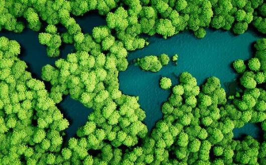 Get green claims right or risk wrath of regulators, travel warned