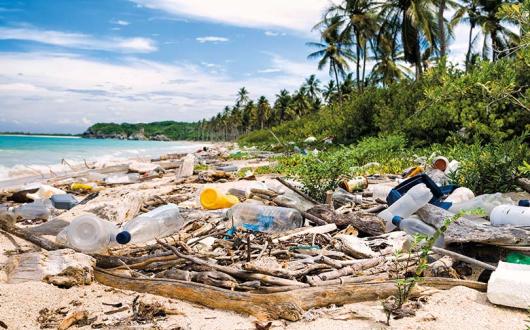 Plastics on Caribbean beach