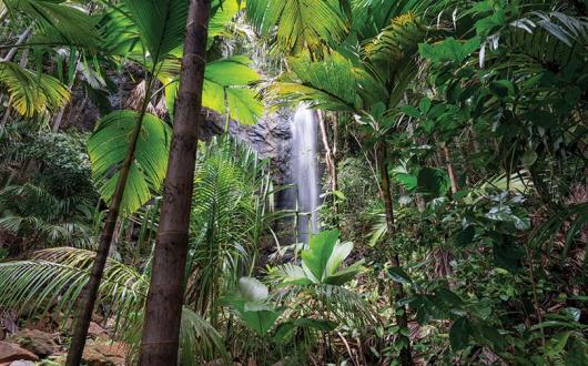 Vallee De Mai waterfall