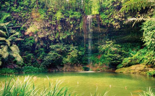 Borneo has entered Titan's top 20 for the first time