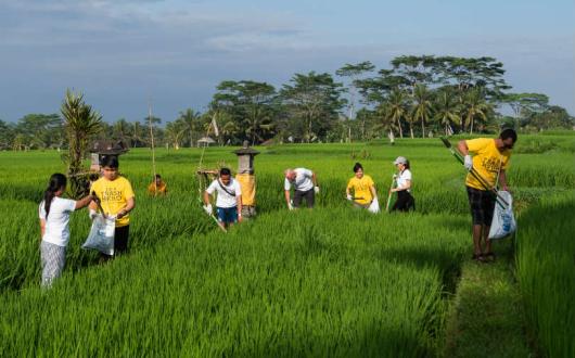 Capella Ubud is one of the properties introducing new community initiatives