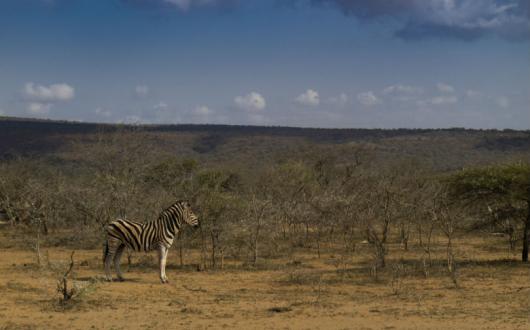 Explore has launched a new South Africa Garden Route tour