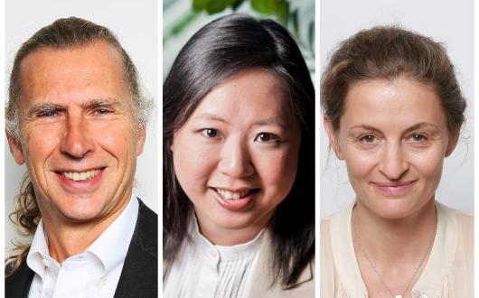 Denis Lacroix, Suzanna Chiu, and Marion Mesnage from Amadeus