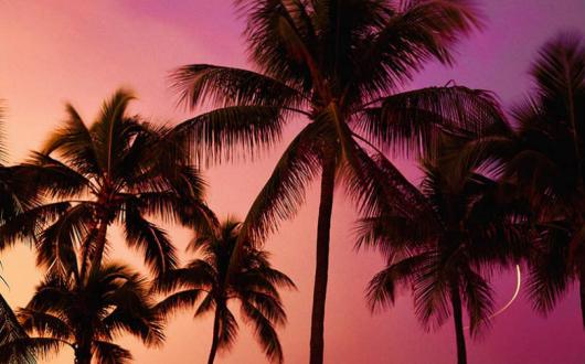 Gold Medal sees 2022 sales triple