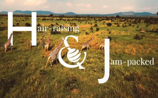 Hayes & Jarvis' new peaks advert