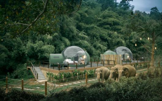 Anantara's Jungle Bubbles are fully air-conditioned