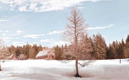 Brexit could affect operator's ability to post chalet workers (Credit: Simon Matzinger / Unsplash)