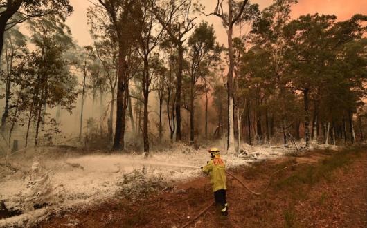Tourists have been urged to flee parts of New South Wales