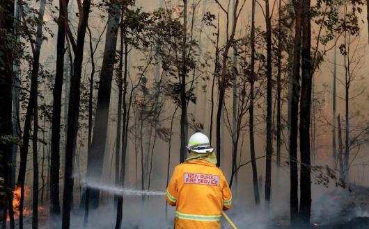 The fires in Australia have been burning for several months (Credit Rick Rycroft/AP/Shutterstock)