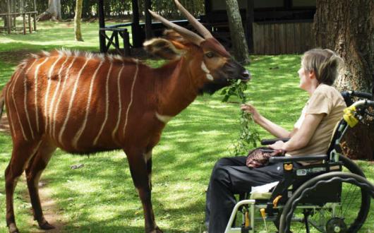 Rahisi Tours is offering a three-day Mount Kenya experience