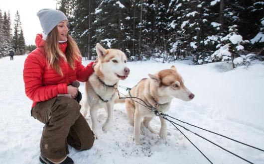 Dog-sledding with huskies is a popular winter activity in Canada