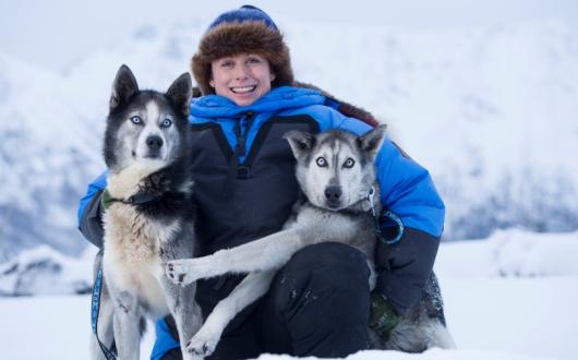 Clients can get to know huskies in Yukon