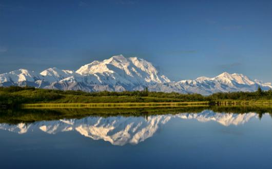 Denali National Park is a feature of Princess's Alaska programme
