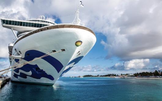 More than 300 guests are reported to have contracted norovirus onboard Caribbean Princess