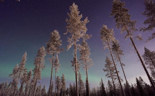 The new flights will get under way on 18 December (Credit: Vincent Guth / Unsplash)