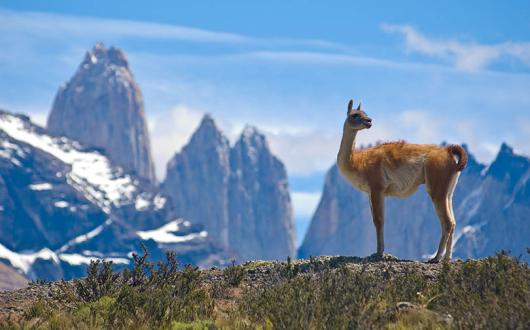 Torres del Paine national park
