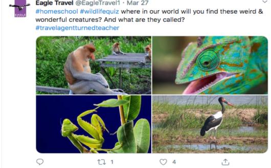 The first quiz saw Eagle ask clients to identify where four exotic animals were from in the world.