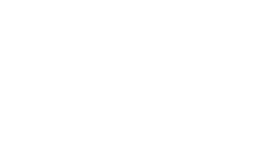 Adelaide white logo