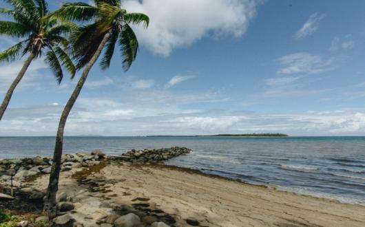 Nadi in Fiji (Credit: Adli Wahid/Unsplash)