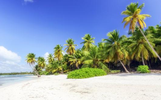 Dominican Republic aims to reopen to international tourists from 1 July