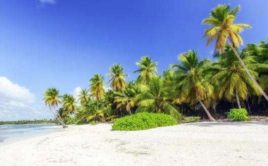 Dominican Republic aims to reopen to international tourists from 1 July