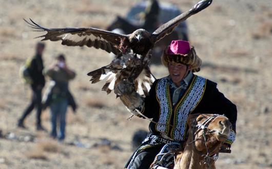 Nomadic Expeditions on funding golden eagle conservation in Mongolia