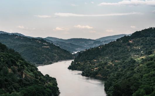 Riviera will restart Douro river cruises in September (Credit: Maksym Kaharlytskyi / Unsplash)