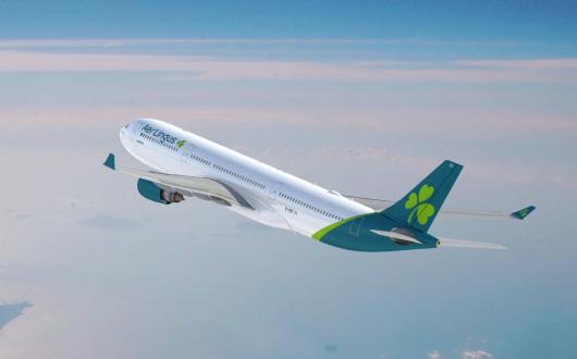 Aer_Lingus_aircraft_web.jpg