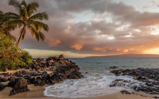 The cruise will call in Hawaii among 37 halts (Credit: Christian Joudrey / Unsplash)
