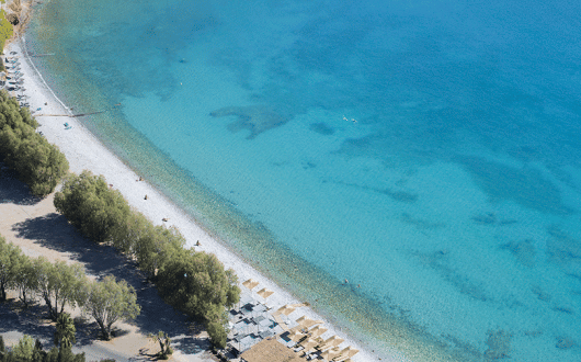 Poll results: Clients confident to travel from June