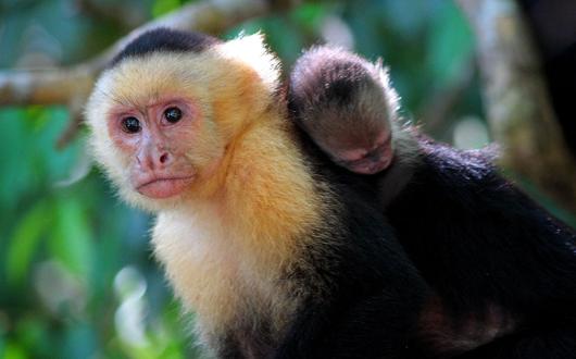 Register for Expotur Virtual and win a trip to Costa Rica