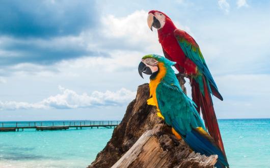 Virgin's new route will take off in June 2021