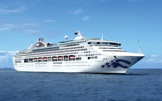 Bingle was serving onboard Sea Princess in the Caribbean when he came to the men's aid