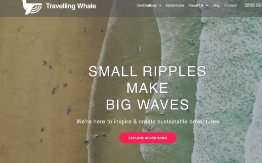 Travelling Whale will be donating 1% of its profits to a wildlife charity