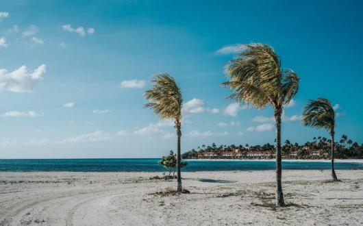 Aruba offers another option in the Caribbean (Credit: David Troeger / Unsplash)