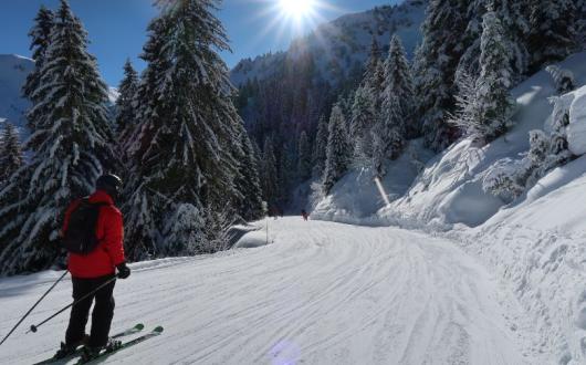 (Credit: Willian Jones / Unsplash)