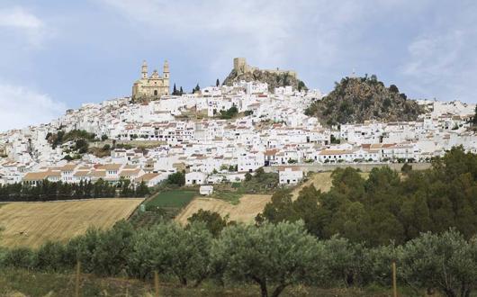 Free Covid-19 insurance boosts Andalucia's appeal for 2021